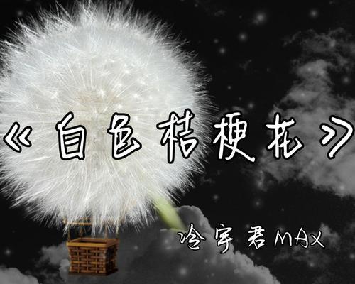 白色桔梗花的花语是什么？寓意有何特别之处？