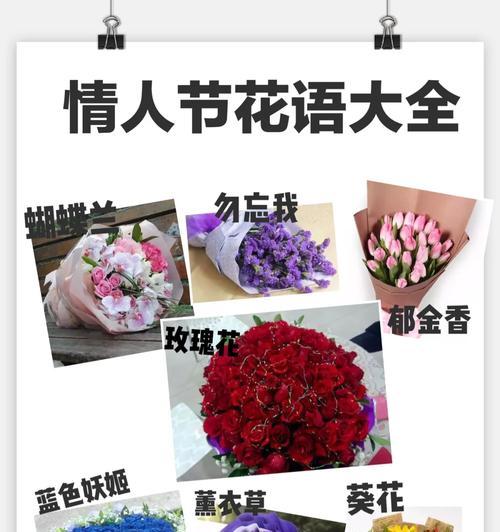 春节花语祝词有哪些？