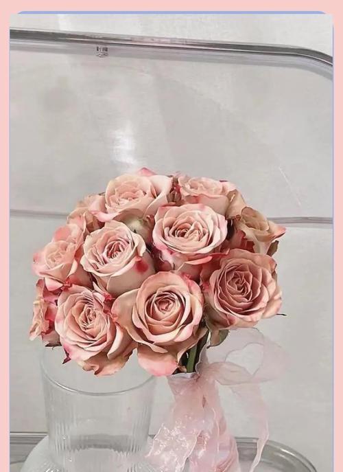 手捧花四瓣代表什么？四瓣花的寓意是什么？