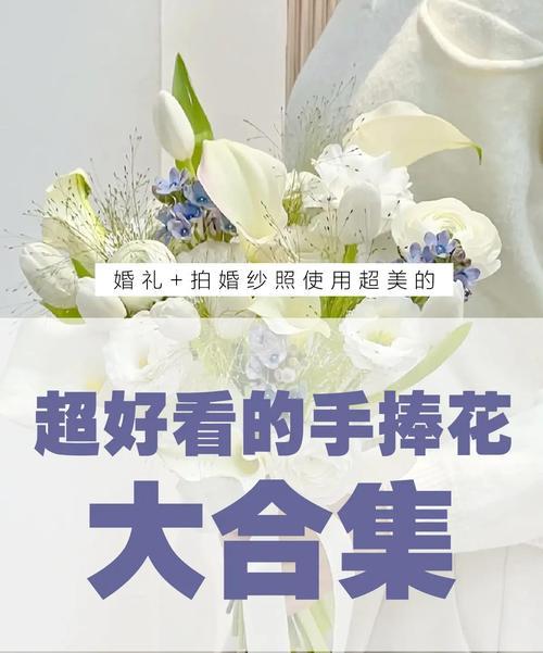 手捧花四瓣代表什么？四瓣花的寓意是什么？