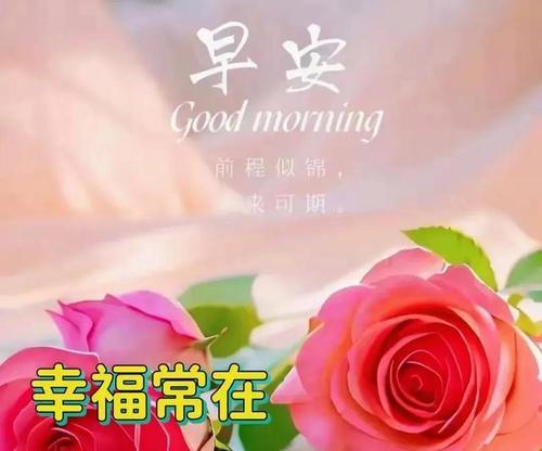 哪些花寓意祝福满满？充满祝福的花有哪些？
