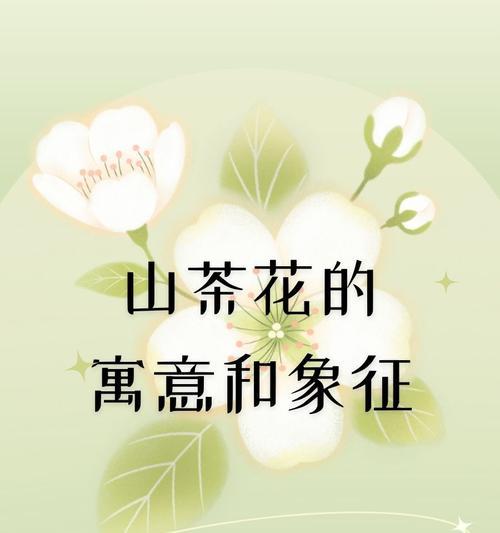 紫色含义相同的花是什么？紫色花卉的共同象征意义305