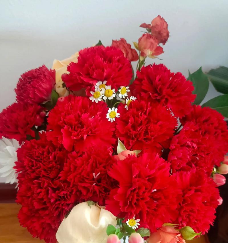 哪种花寓意自由和平安？如何用花表达自由与平安？