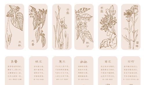 节气花的含义和象征是什么？