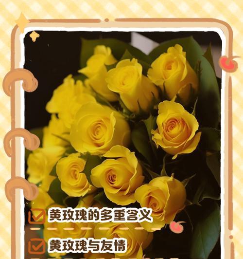黄色玫瑰花送给姐妹有何寓意？它传递了怎样的祝福？
