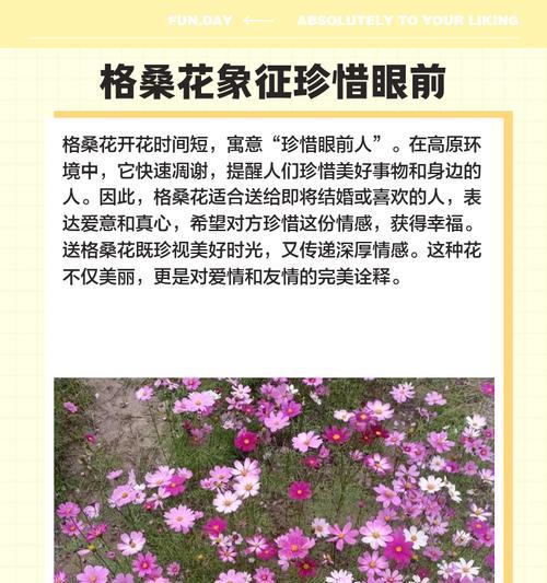 幸福花的花语是什么？幸福花的寓意有哪些？