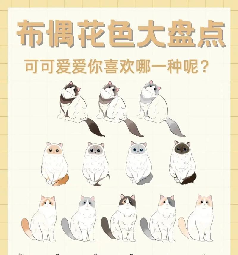 三花不同花色的寓意？每种颜色代表什么意义？