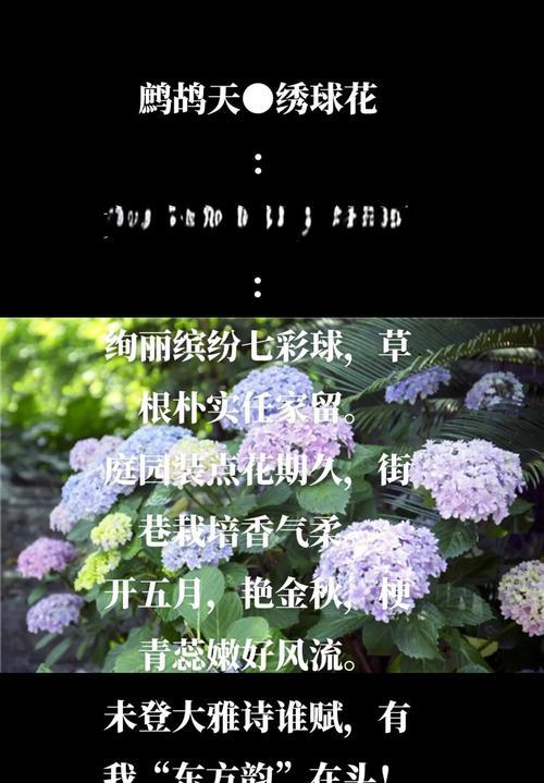 甜蜜花象征什么？甜蜜花的寓意有哪些？
