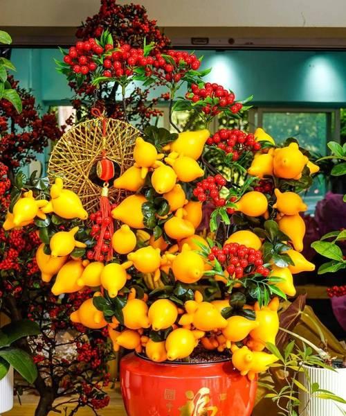 盆花象征爱情的花是什么？哪种盆花代表爱情？