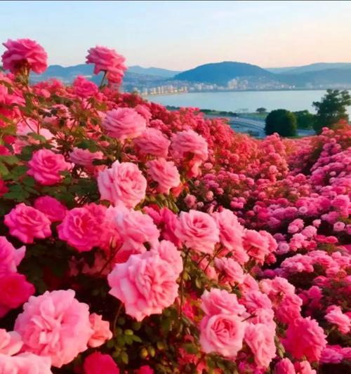 绿色火花语音是什么意思？绿色火花语音的含义是什么？