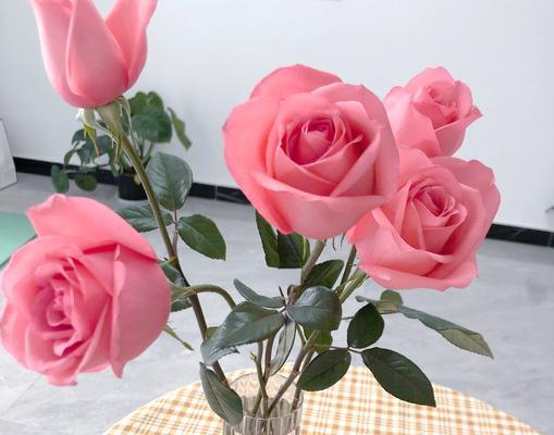绿色火花语音是什么意思？绿色火花语音的含义是什么？