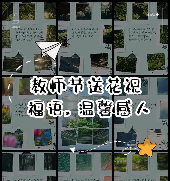 教师节送花指南：什么花最有意义？