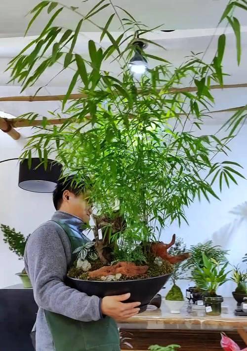 组合盆栽寓意幸福的花包含哪些？