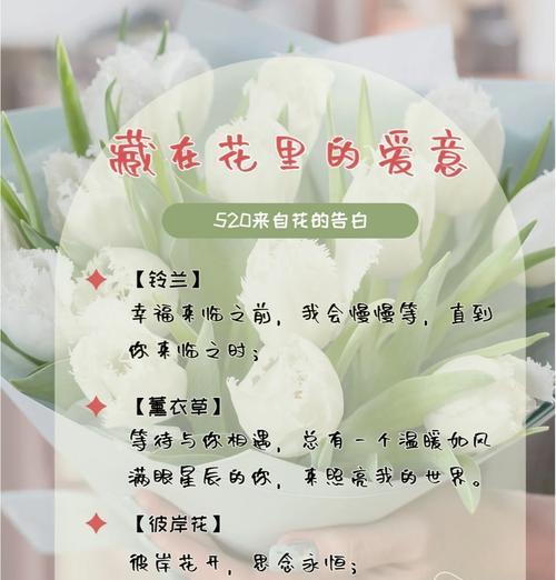 花为何被视为浪漫的象征？