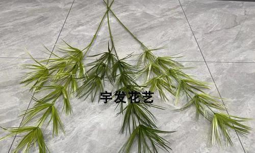 绿色花材通常象征什么？绿色花材的寓意有哪些？