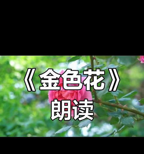 金色花标题代表什么含义？金色花在标题中的象征是什么？