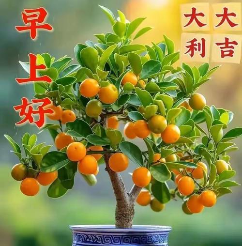送什么花能寓意平安和幸福？