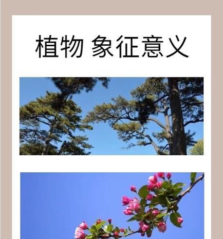 哪些花象征着高升？花纹中隐藏了哪些吉祥的含义？