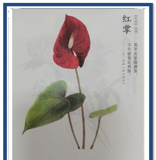 花语祥瑞喜庆吉利是什么意思？如何用花语表达祝福？