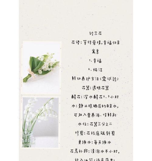 哪种花象征爱情不惜？它的花语是什么？