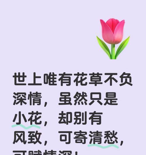 哪种花象征爱情不惜？它的花语是什么？