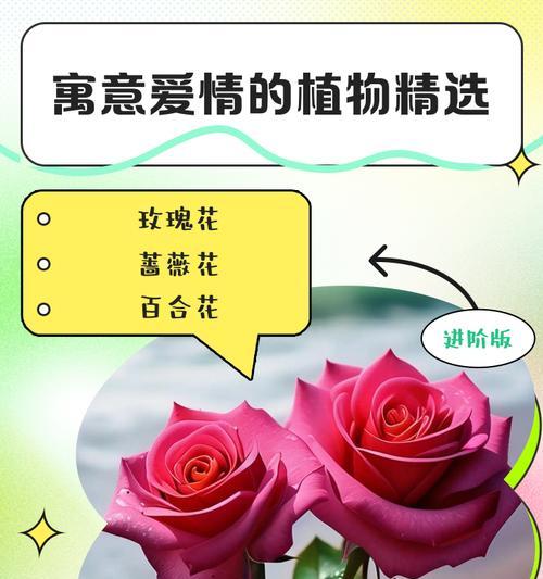 哪种花象征爱情不惜？它的花语是什么？