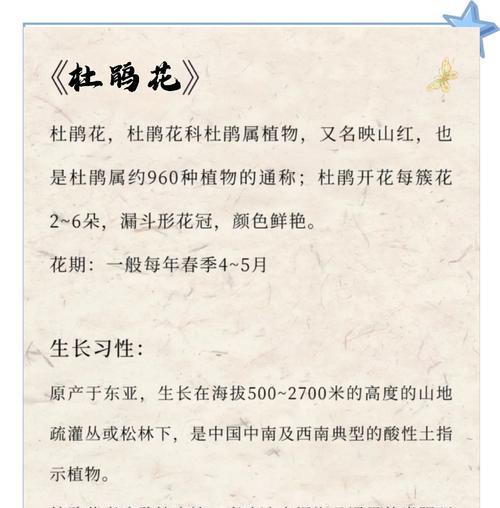 各色杜鹃花分别代表什么？杜鹃花颜色的寓意是什么？