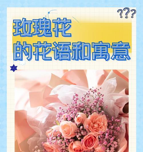 六色花的寓意和花语是什么？六色花代表什么？