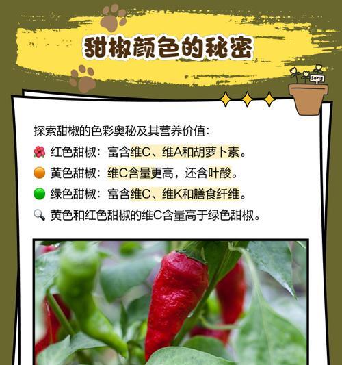 甜椒的营养价值和生吃方法（探究甜椒的健康秘密，教你如何正确生吃）