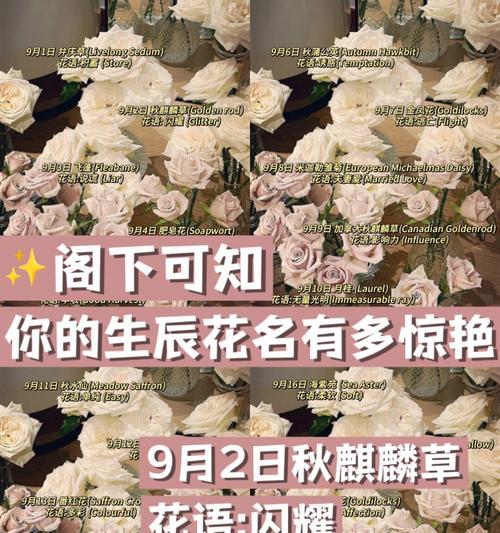 菊花耐寒能力究竟有多强？（探究菊花耐寒的神奇本领）