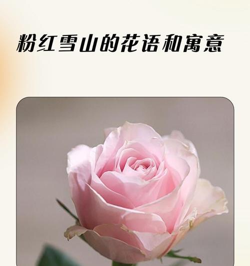 菠萝蜜的开花与结果（菠萝蜜的生长周期及繁殖方式）