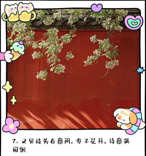 李子树开花季节及生长习性（探究李子树的开花时间和生长要素）
