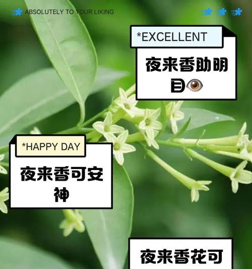 夜来香种子的最佳播种时间（如何选择最适合夜来香种子的播种时间？）
