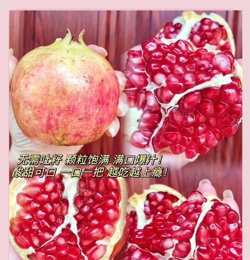 探究突尼斯石榴的开花时间（突尼斯石榴开花的季节和条件）