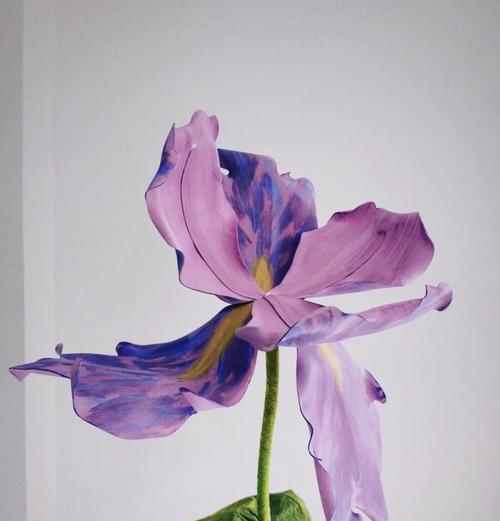 长寿花的寓意与象征风水（解析长寿花的象征意义与文化内涵）