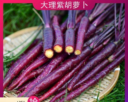 为什么胡萝卜可以带皮吃？（了解营养价值和健康益处。）