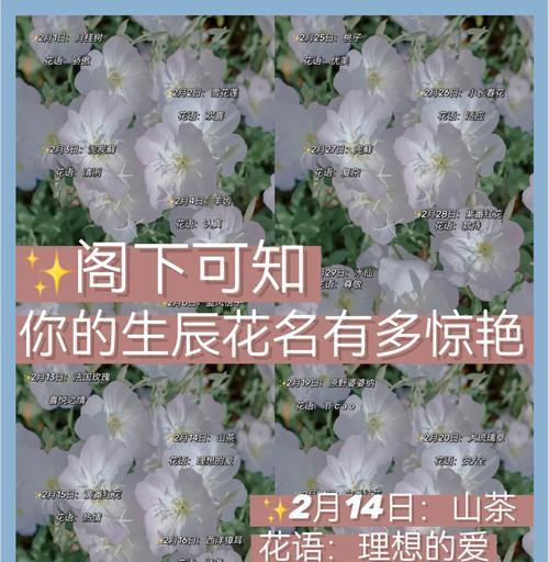雀梅开花是怎样的一种美丽？（探究雀梅开花的形态与特点）