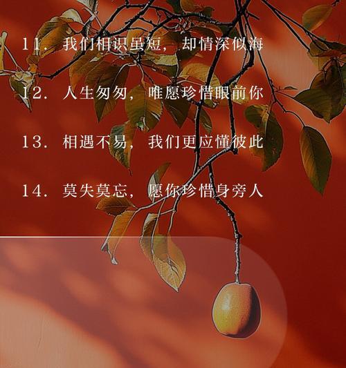 重逢花语-久别重逢（意蕴深远，见证时间的美好回忆）