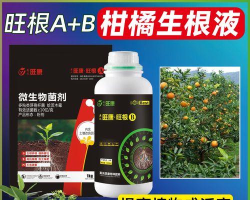 插枝繁殖桔子树的秘密（插枝繁殖桔子树的方法与注意事项）