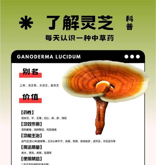 探秘灵芝的生长环境与特点（灵芝的生命力在哪里？）
