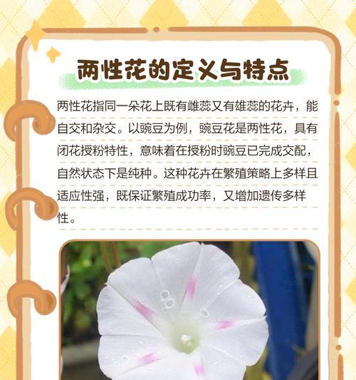 番茄花的性别是什么？（探究番茄花的两性性质及其繁殖方式）