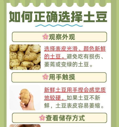 土豆成熟期多少天？（了解土豆成熟期的重要性及影响因素）