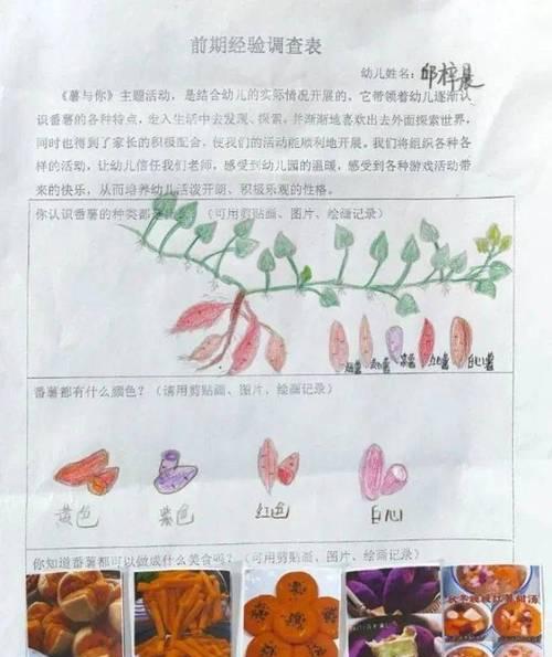 地瓜的生长周期（了解地瓜生长的时间和过程，助力种植大丰收）