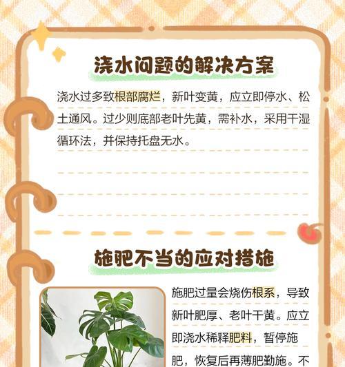 南瓜叶片发黄，原因及处理方法详解！（南瓜栽培攻略，南瓜叶片发黄，不要慌！）
