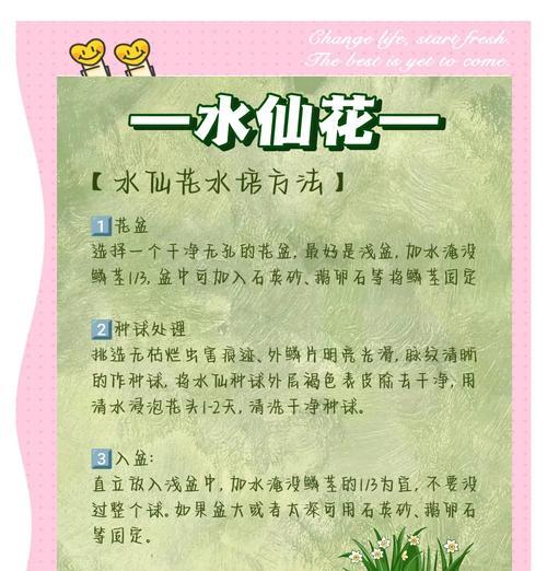 水草开花的意义（探寻水草开花的寓意与预示）