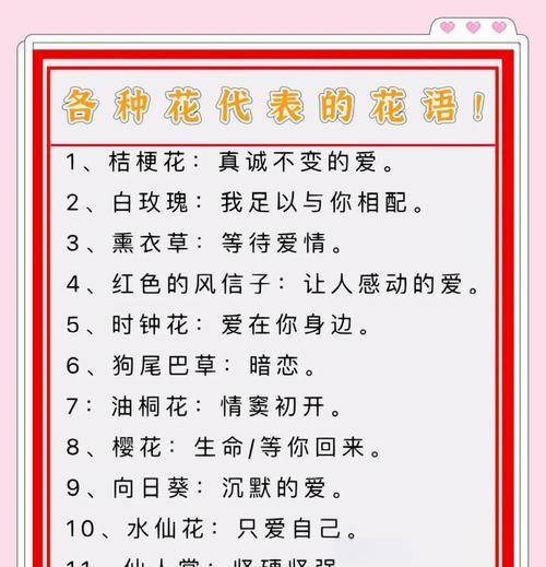 麦秆多肉的养殖技巧（打造状态最佳的麦秆多肉花园）