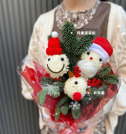 乒乓菊的生存与保护（冬天的考验与保护方法）