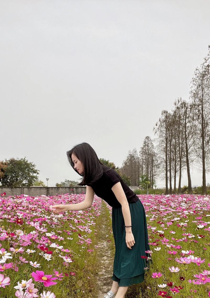 格桑花打顶时间及方法步骤详解（如何确定打顶时间？打顶步骤详解！）