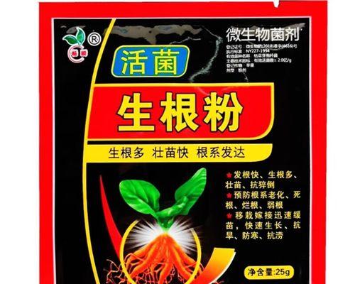 水草快速生根的技巧（提高水草生根成功率，让水草更健康成长）