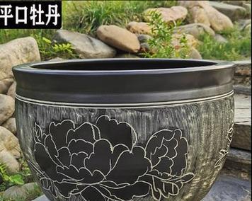 打造壮观荷塘，盆栽选型要点剖析（如何选购适合大型荷花的盆器）